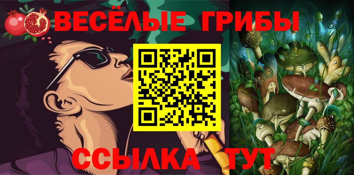 Галлюциногенные грибы Cubensis Нарткала