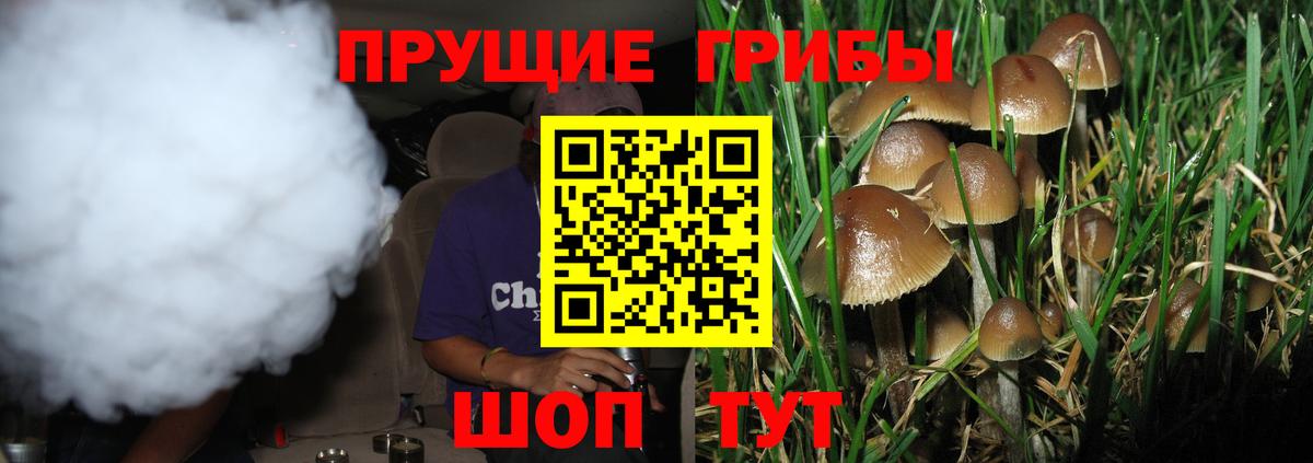 купить наркотик  Вход с VPN  Нарткала  Галлюциногенные грибы Psilocybe 